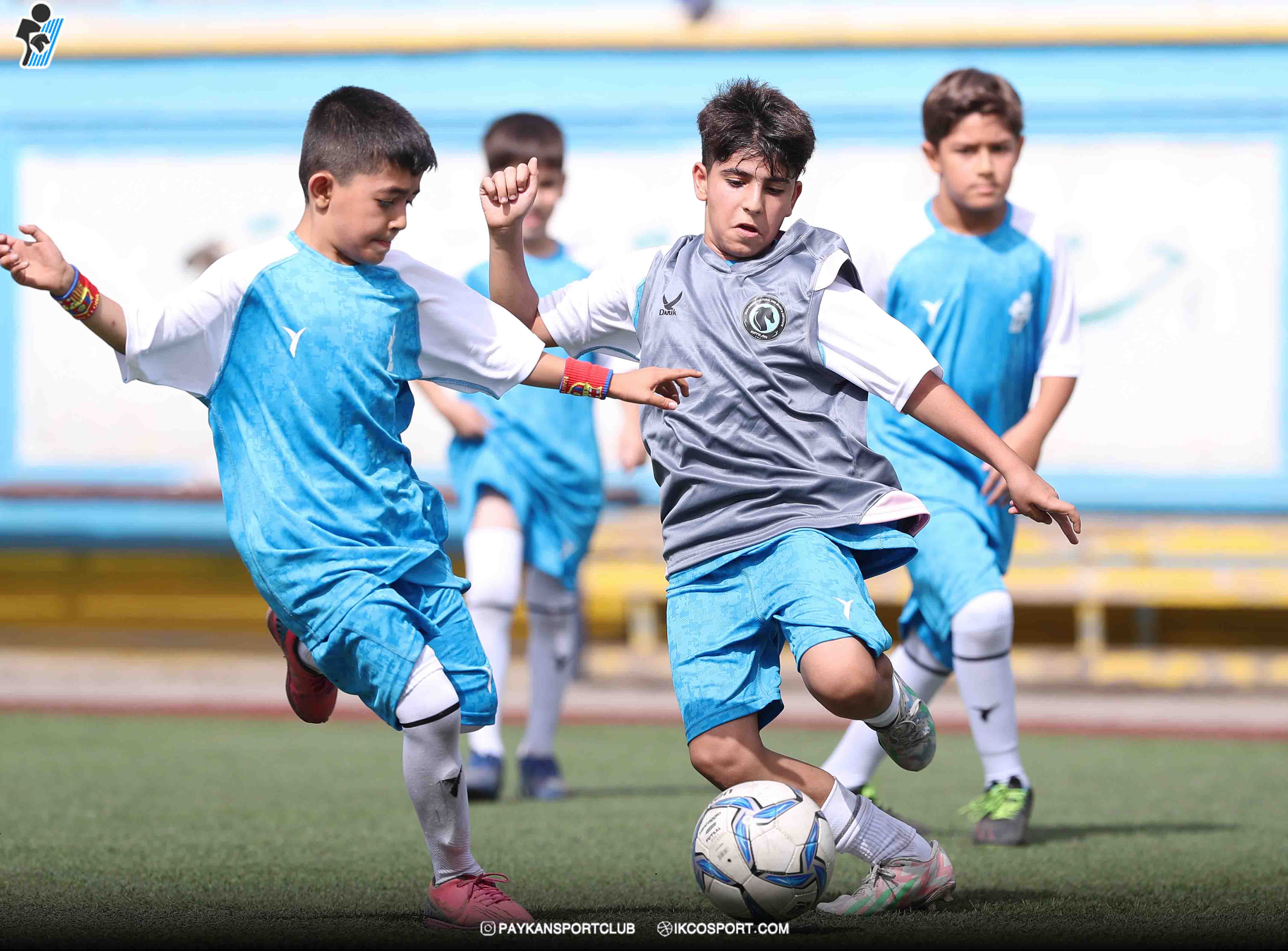 گزارش تصویری آغاز مدارس فوتبال پسران باشگاه پیکان